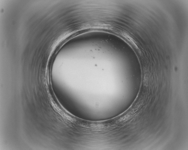 X0000059241080200510171425