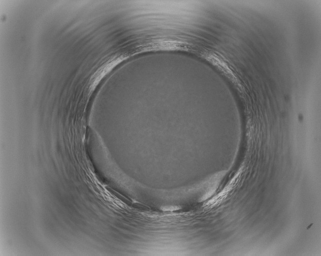 X0000059241081200510171425