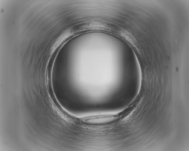 X0000059241082200510171425