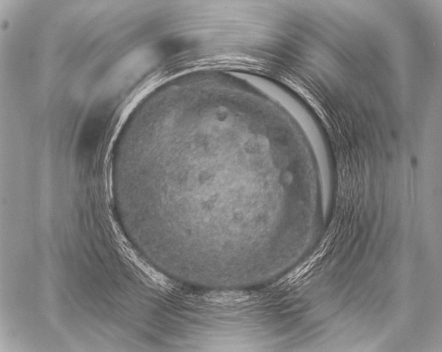 X0000059241083200510171425