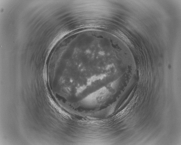 X0000059241084200510171425