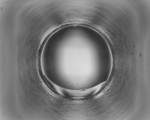 X0000059241085200510171425