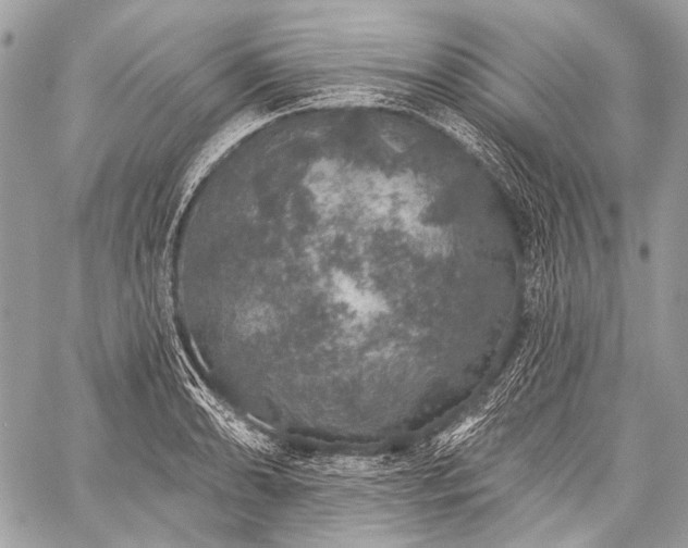 X0000059241086200510171425