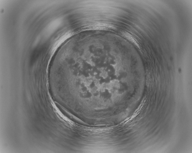 X0000059241087200510171425