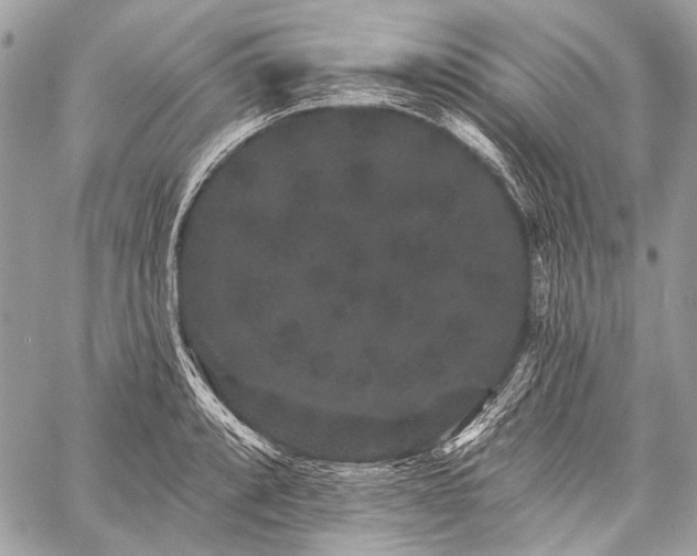 X0000059241088200510171425