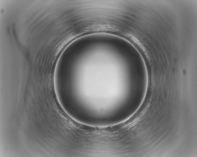 X0000059241089200510171425