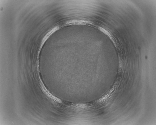 X0000059241090200510171425