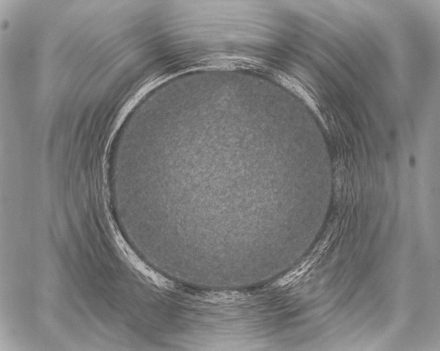 X0000059241091200510171425