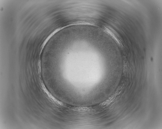 X0000059241092200510171425