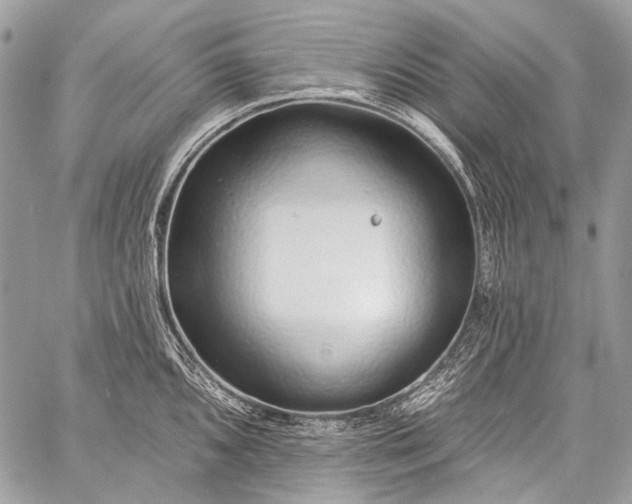 X0000059241096200510171425