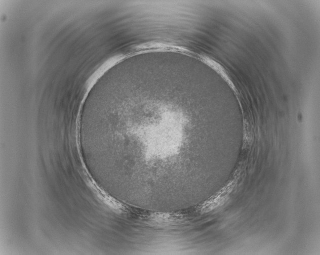 X0000059241098200510171425