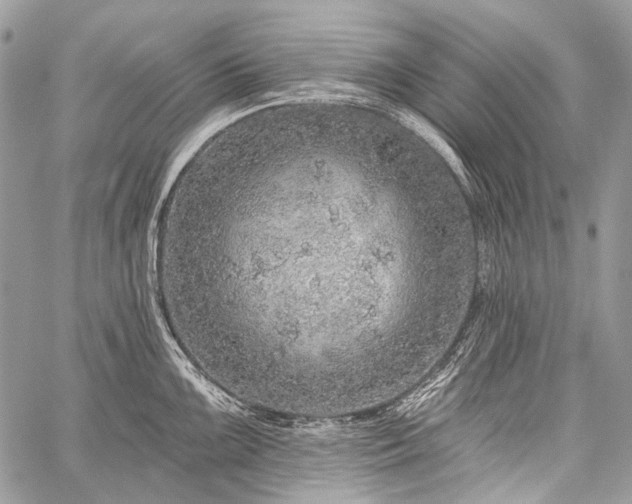 X0000059241099200510171425