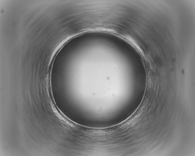 X0000059241100200510171425