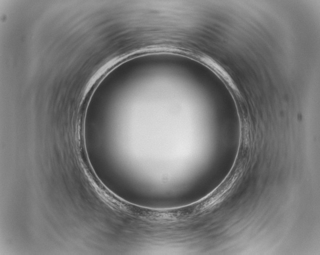 X0000059241101200510171425