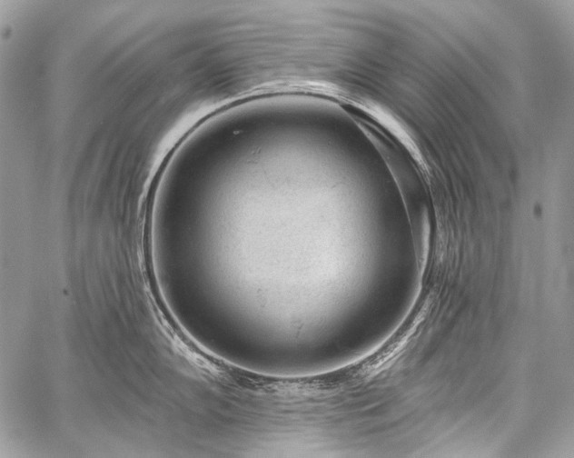 X0000059241102200510171425