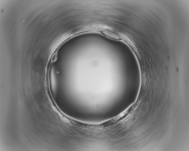 X0000059241103200510171425