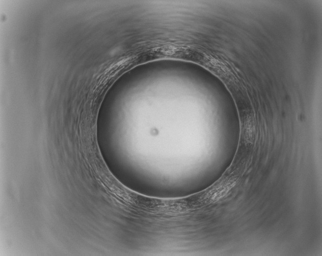 X0000059241105200510171424