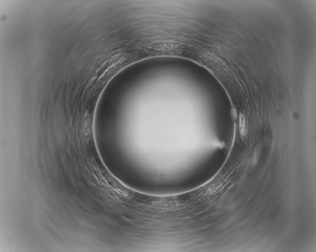 X0000059241107200510171424