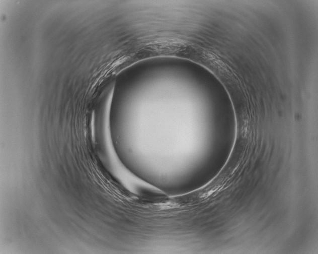 X0000059241108200510171424