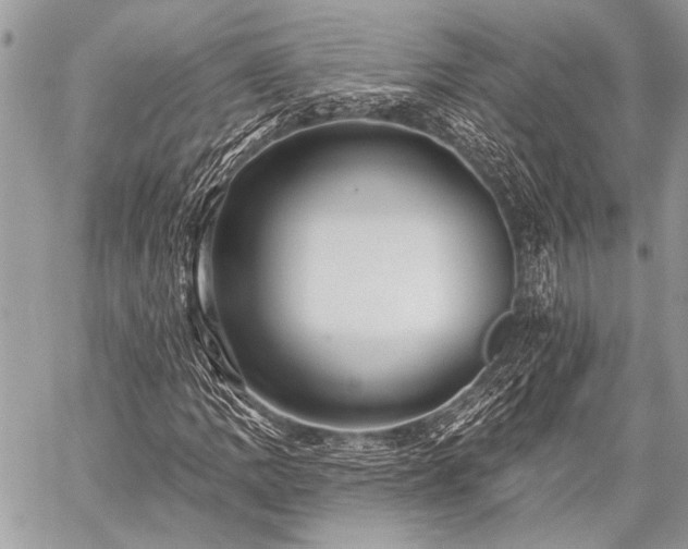 X0000059241109200510171424