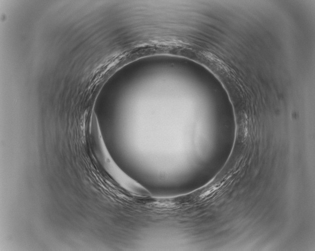 X0000059241110200510171424