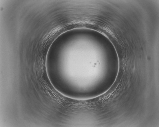 X0000059241111200510171424