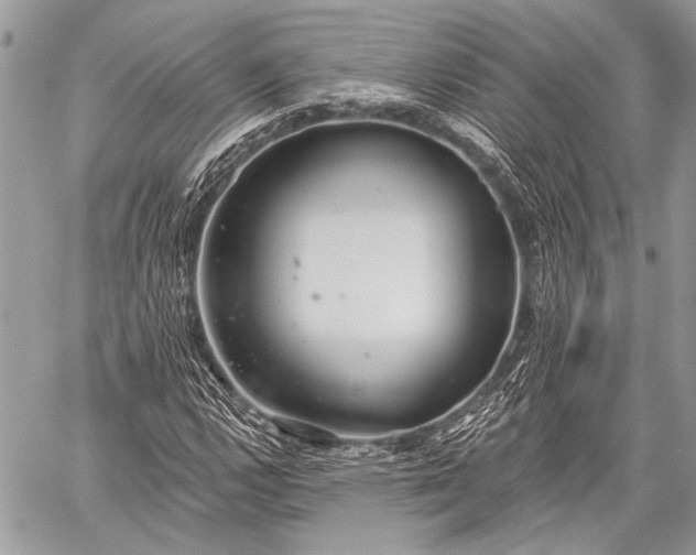 X0000059241112200510171424