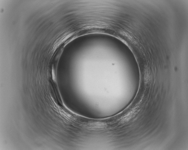 X0000059241113200510171424