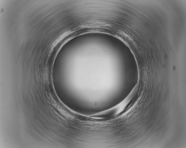 X0000059241114200510171424