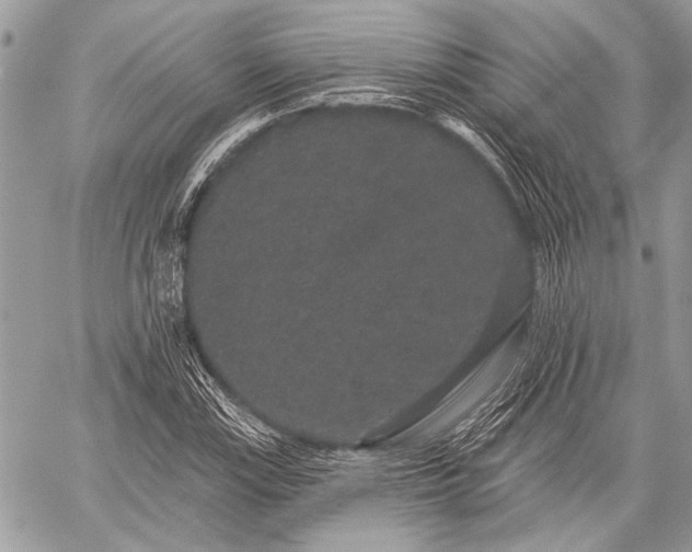 X0000059241115200510171424