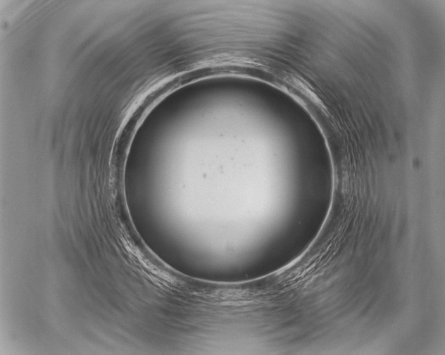 X0000059241116200510171424