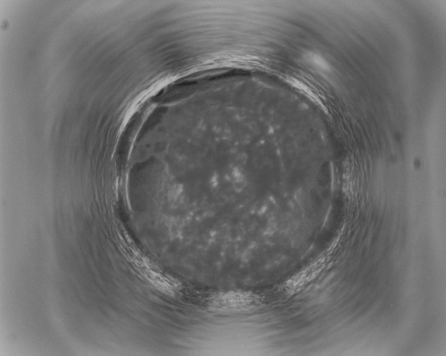 X0000059241117200510171424