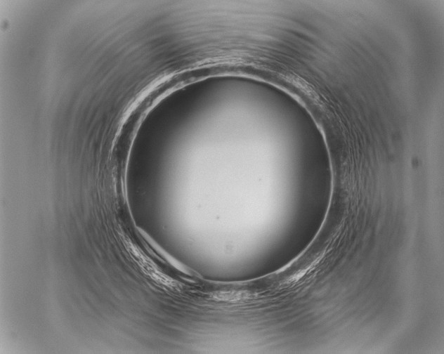 X0000059241118200510171424