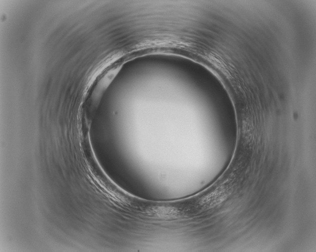 X0000059241119200510171424