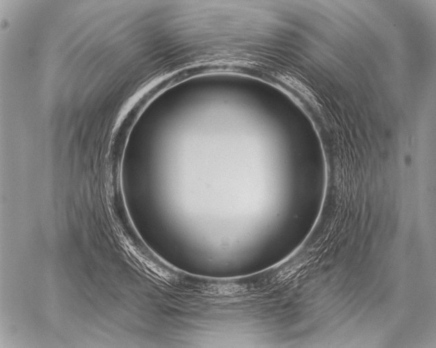 X0000059241120200510171424