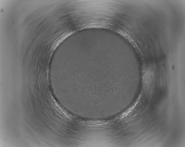 X0000059241121200510171424