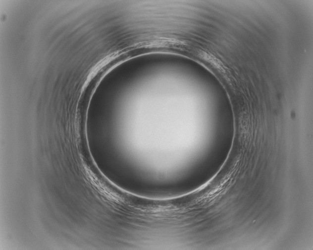 X0000059241122200510171424