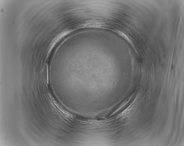 X0000059241123200510171424