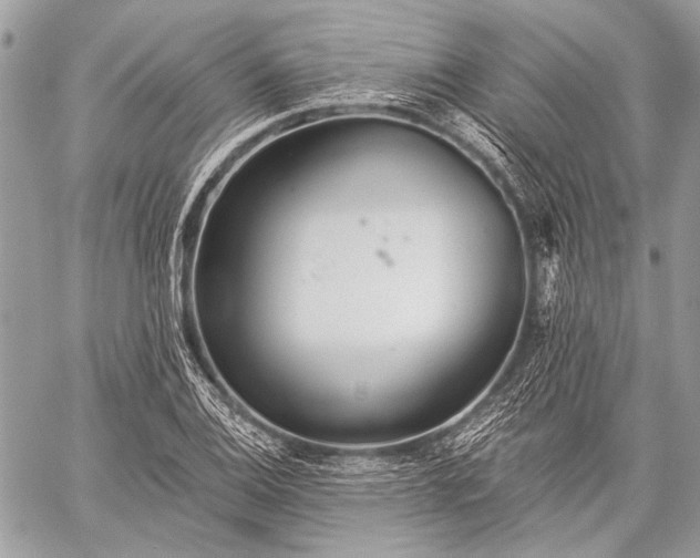 X0000059241124200510171424