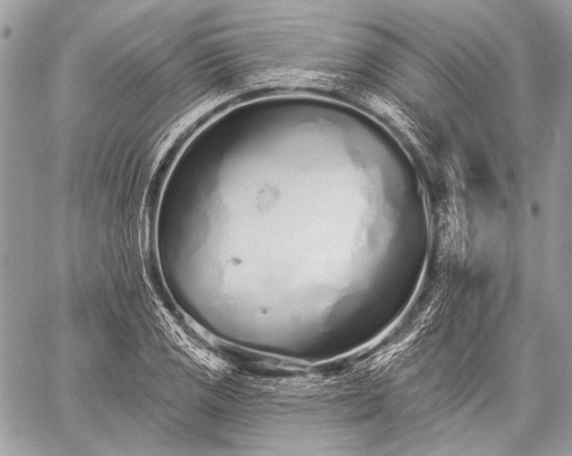 X0000059241125200510171424