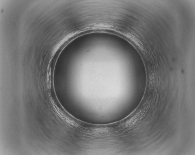 X0000059241126200510171424