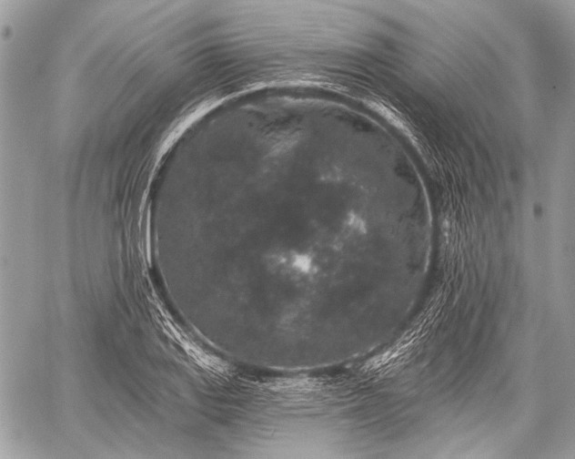 X0000059241127200510171424