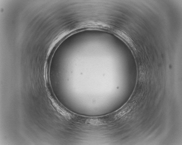 X0000059241128200510171424