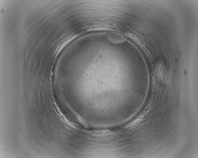 X0000059241129200510171424