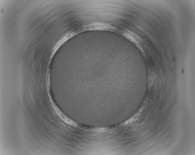 X0000059241130200510171424