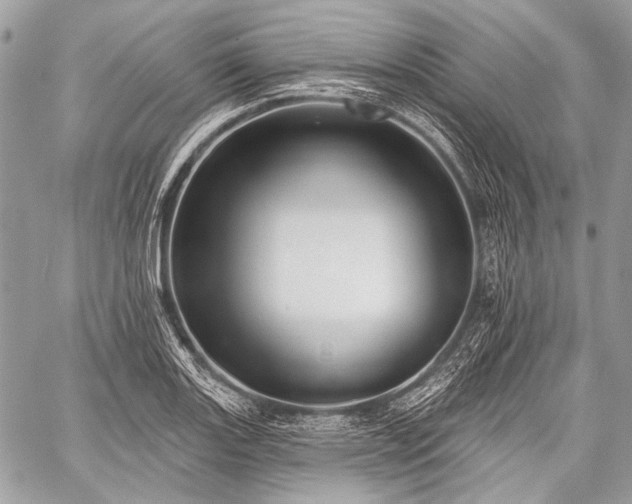 X0000059241131200510171424