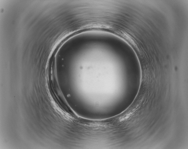 X0000059241132200510171424