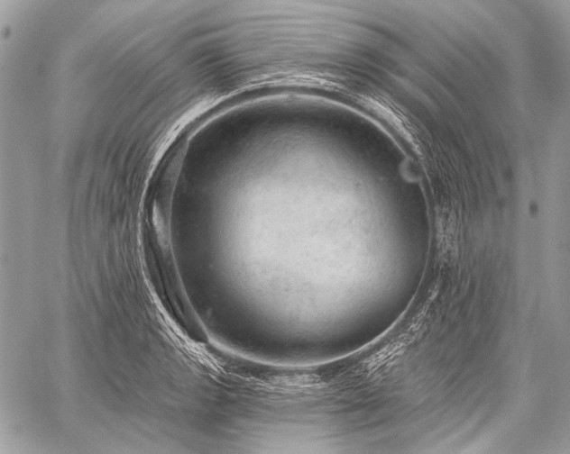 X0000059241133200510171424