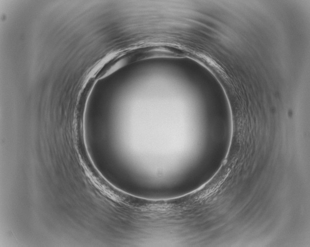 X0000059241134200510171424