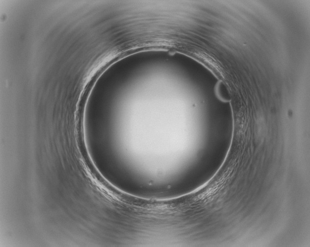 X0000059241135200510171424